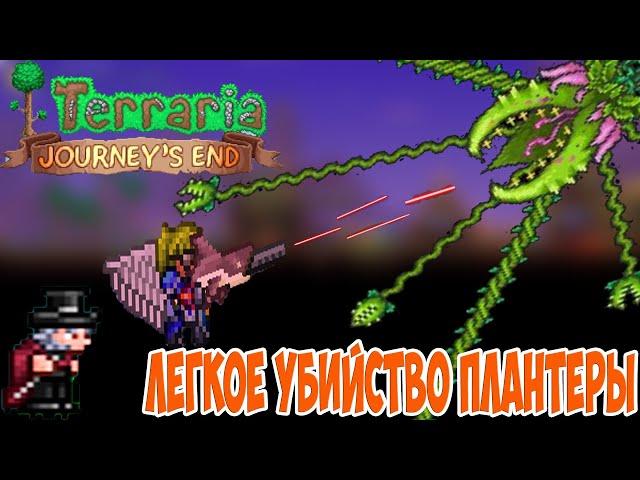 Цветок-переросток и Голем №6|Terraria 1.4 Стрелок|Master mode