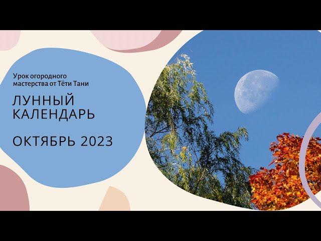 Календарь посевной на октябрь 2023 г. Семенами.