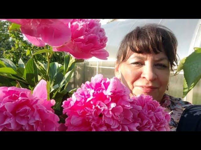 Рецепты на каждый день. Работы в саду. Мои эксперименты. Что еще посадить? Жизнь семьи в деревне.