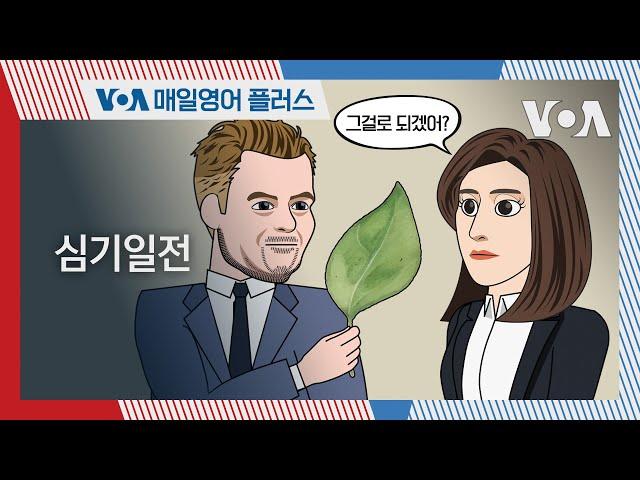 [VOA 매일 영어 플러스] 심기일전