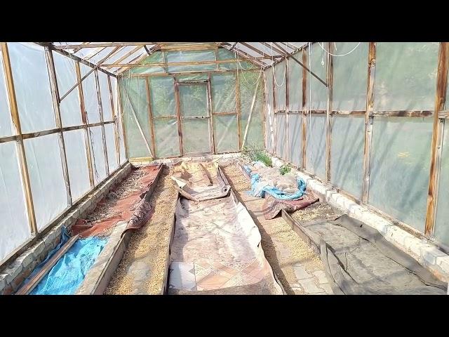 Приехали в Белгород. Опять все заросло. Все цветёт.