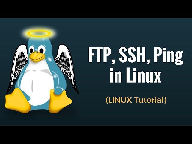 SSH, FTP, Ping, Telnet: Linux Networking Commands Tutorial 12