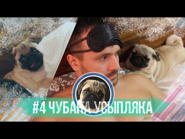 #4 Чубака-усыпляка / Мопс способствует здоровому сну