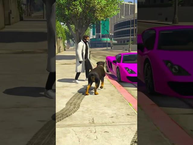 ОСТАВИЛ СОБАКУ РАДИ ДЕВУШКИ В GTA 5 RP ! #shorts #gta #gta5