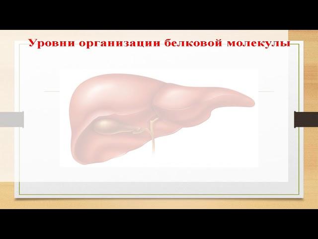 Биологическая химия. Урок 1 введение в биохимию, основы белкового обмена аминокислот.