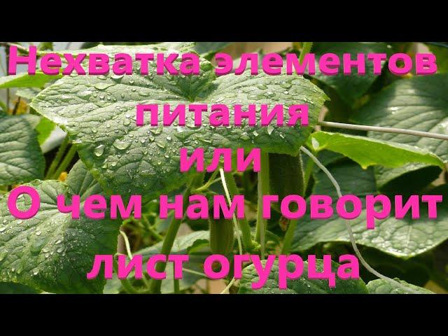 Как определить нехватку элементов по листу