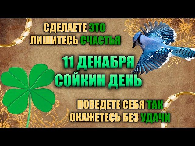 11 декабря. Народный праздник - Сойкин день и Иринархов день. Народные приметы.