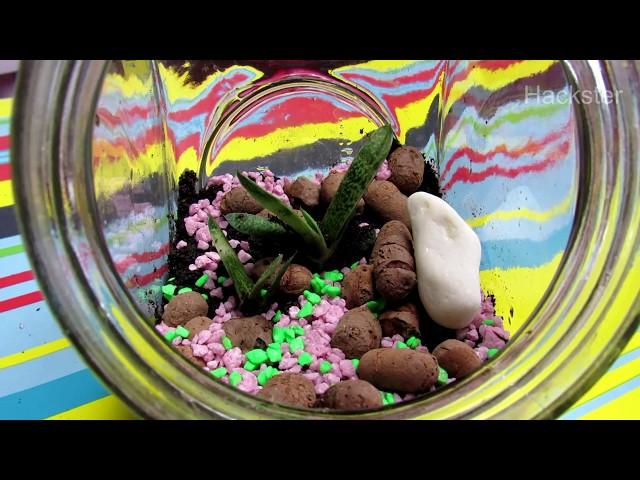 How To Make Florarium In Easy Way - DIY Florarium With Sukkulente