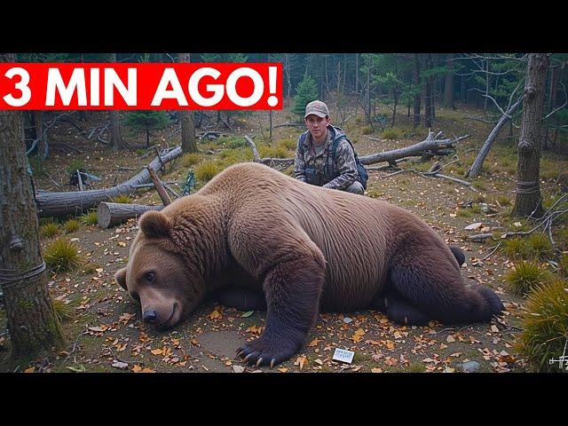 3 Hour of Scary Bear Attack Stories | Reports of People Who Were Attacked Vol.05