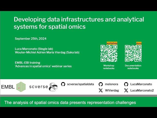 Developing data infrastructures and analytical systems for spatial omics