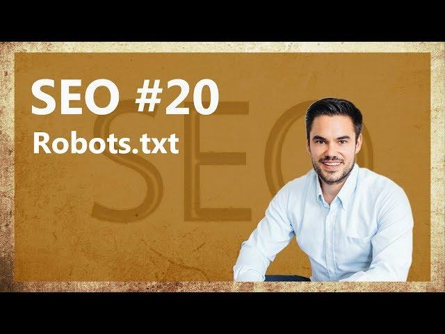 SEO Wissen - Eine Robots.txt Datei im WordPress / SEO #20