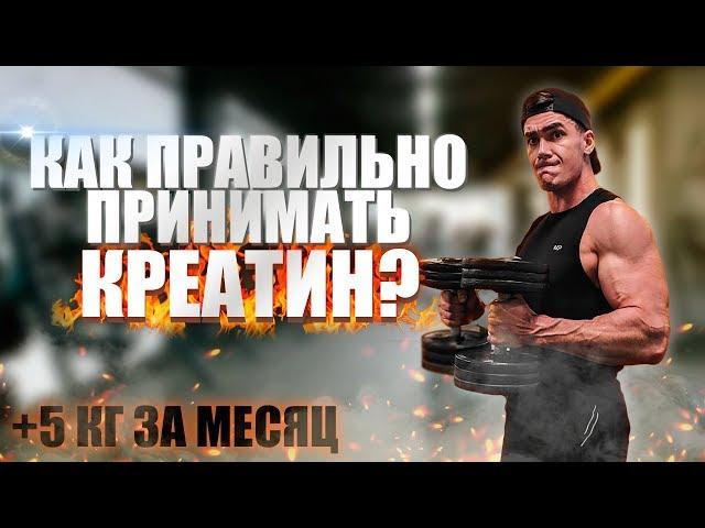 Как ПРАВИЛЬНО Принимать КРЕАТИН? | Тренировки C Креатином На Массу