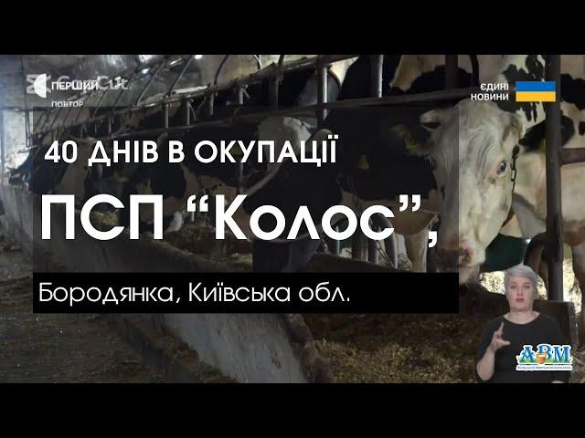 40 днів в окупації. ПСП “Колос”, Бородянка, Київська обл.