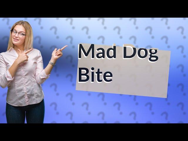 What happens if a mad dog bites you?