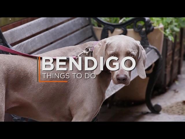 Bendigo: Top things to do