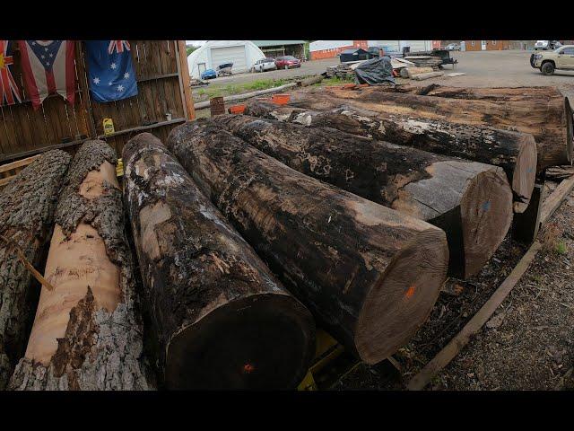 Sawing four beautiful walnut logs # 716