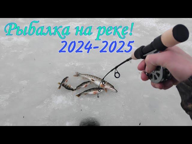 Первый лёд на реке! 2024-2025 Рыбалки на жерлицы и балансиры