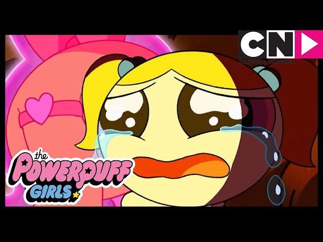 Суперкрошки | Хламокрыс | Cartoon Network