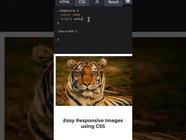 Easy Responsive Images using CSS