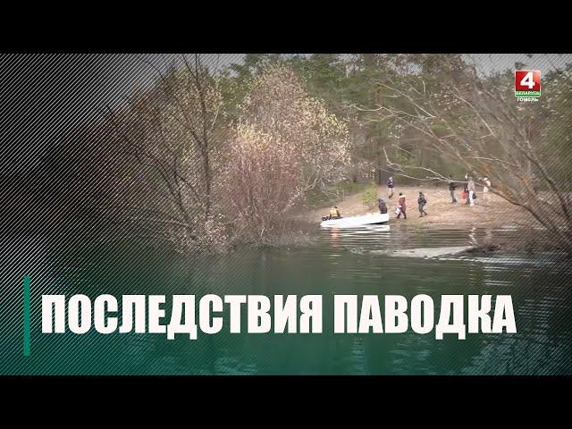 На водоёмах Гомельской области началось снижение уровня воды