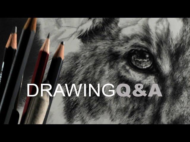 Wildlife Artist - Lion Cub Drawing + Q & A