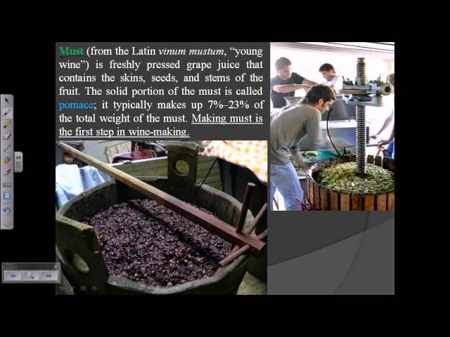 Wine production (process of wine wine making)