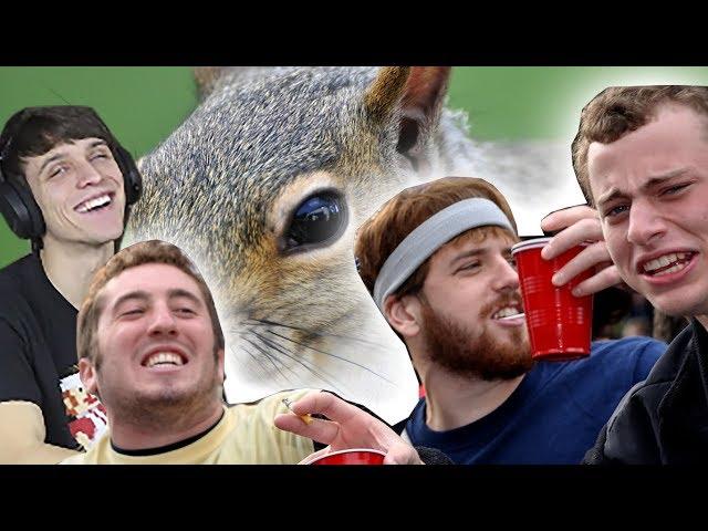 Squirrels and Frats -- (That's Whatever)