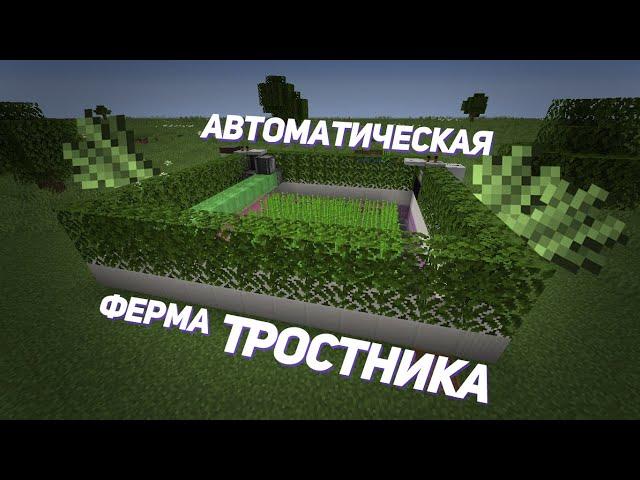 АВТО-ФЕРМА ТРОСТНИКА В MINECRAFT [1.15-1.21]