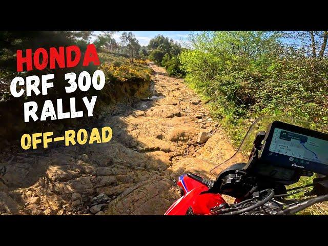 Tough Off-Road Adventure: Honda CRF 300 Rally