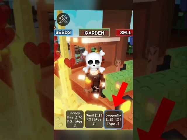 Grow A Garden Free Dragon Fly Glitch !!