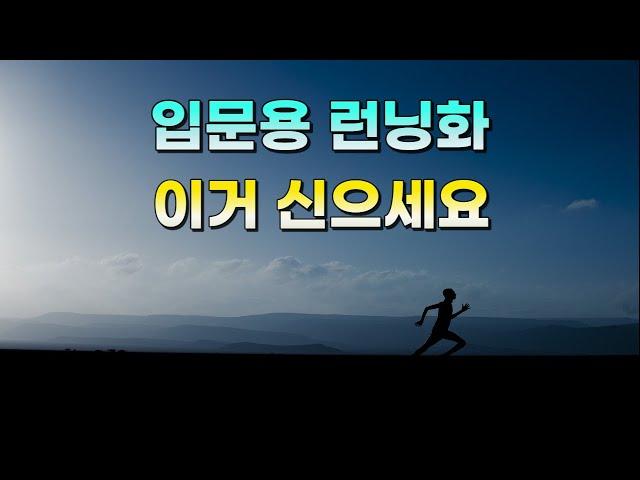 입문용 러닝화 뭐가 좋을까요? / 초보 런닝화 추천 (2023) l 나이키, 아식스, 푸마