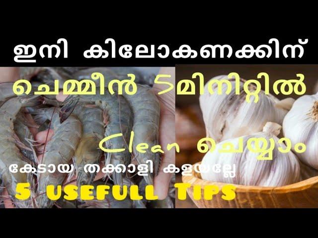 5 Amazing Kitchentips|Usefull Tips|How to clean prawns without knife|Easy Tips and tricks|Tips