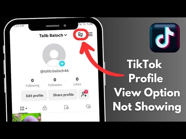 How To Fix TikTok Profile View Option Not Showing || TikTok Profile View Option Not Showing (2024)