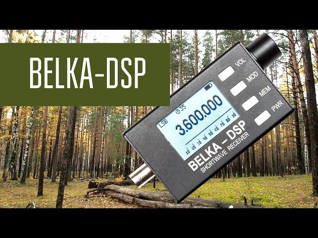 Belka-DSP и большая антенна. Работа приёмника с полноразмерными антеннами и сравнение с трансивером.