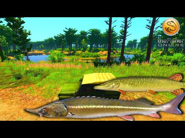 Sterlet and Pike Spot | NEW Pra | Fisher Online | Ep 73