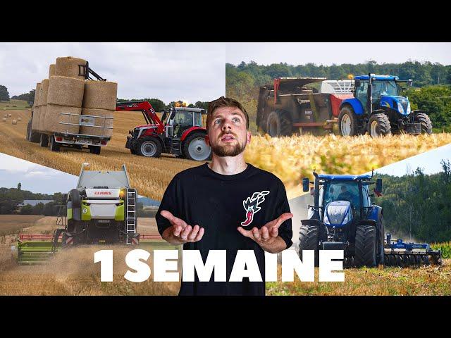 1 SEMAINE À LA FERME : moisson, paille, fumier, déchaumage...