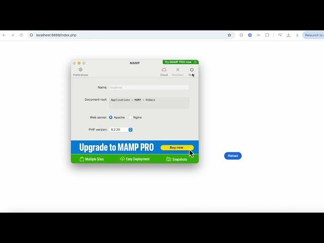 Install MAMP and Create Laravel Project on MacOS