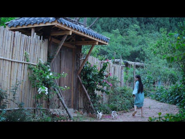 The life of cucumbers.It tastes like Li Ziqi’s summer. How about yours?丨Liziqi Channel