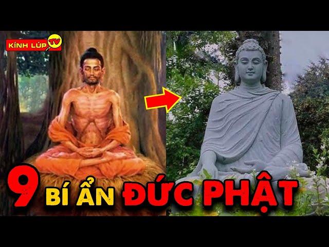  9 Bí Ẩn Ly Kỳ và Cảm Phục về Cuộc Đời Đức Phật | Kính Lúp TV