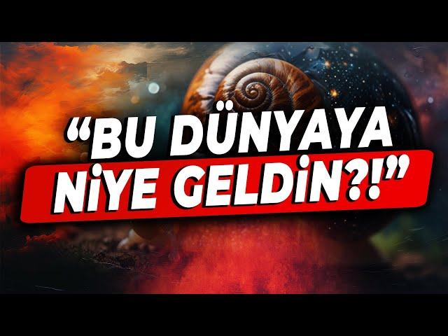 Yaratılış Hikayemiz Nedir? | Biz Buraya KEMALATI Tamamlamaya Geldik! | Kendimizdeki İlahi Benlik ?!