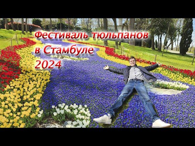 Фестиваль тюльпанов в Стамбуле. Эмирган парк 2024