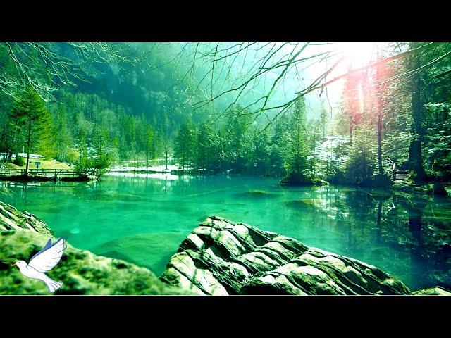 24 Hours Relaxing Music  Relaxing Music Piano , Meditation Music, Sleep Music , Study