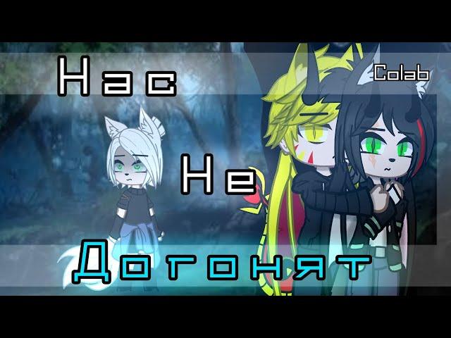 Клип-коллаб "Нас не догонят" @Niko_42 #gachaclub