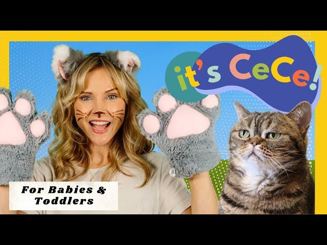 Baby & Toddler Learning, Speech, Songs & Sign Language with CeCe! I Learn to Talk I First Words