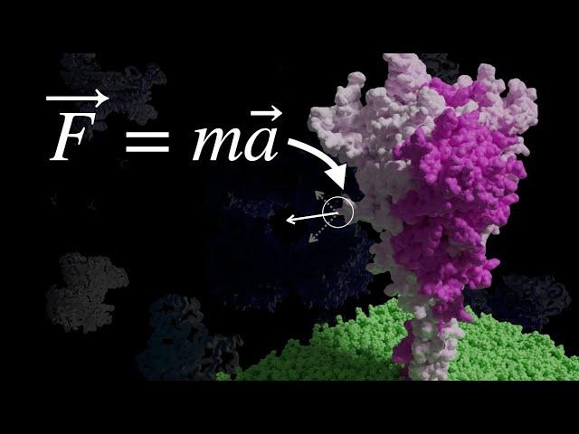 The beauty of life through the lens of physics
