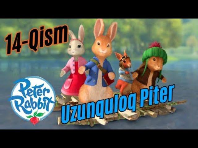 Uzunquloq Piter 14-qism o'zbek tilida #uzunquloq #piter #quyon #multfilm #osmondagibolalar #benjamin