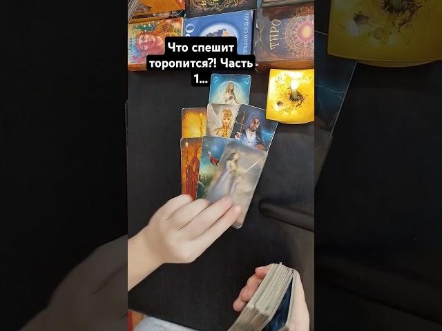 Что спешит, торопится?! Часть 1...