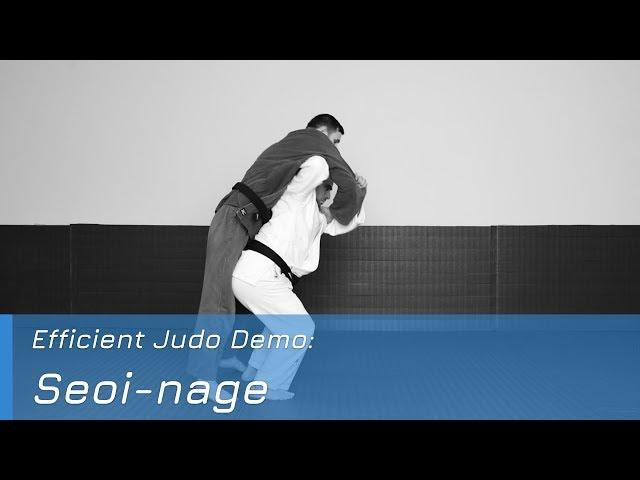 Seoi-nage - Demo