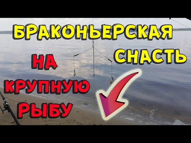 Браконьерская снасть для крупной рыбы