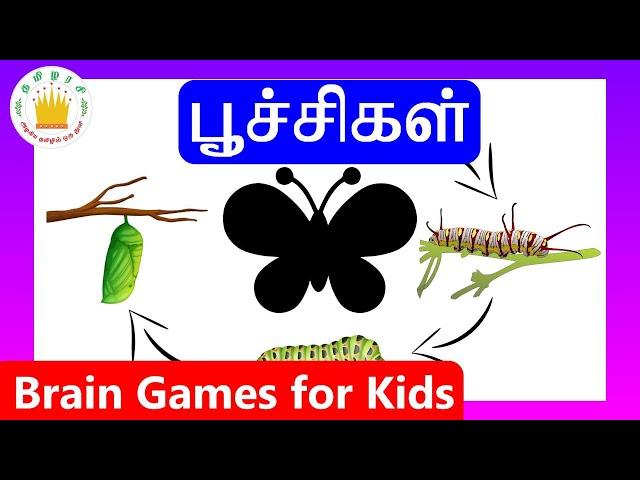 பூச்சிகளின் பெயர்கள் |Learn Tamil Bugs and Insects Name for Kids|Tamilarasi